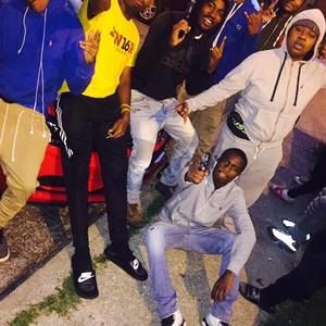 Meet your Posher, Norman